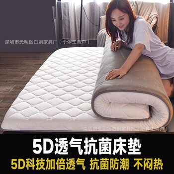 Fale Velvet Mattress Thickeneded Tatami Sponge Mat Single and Double Dormitory Mat Bedding Memory Foam Mat Floor Covering