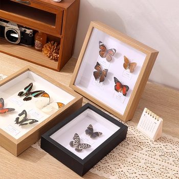 Hollow Photo Frame Creative DIY Handmade Stereoscopic Picture Frame Butterfly A4 Insect Specimen Frame Eternal Flower Display Frame