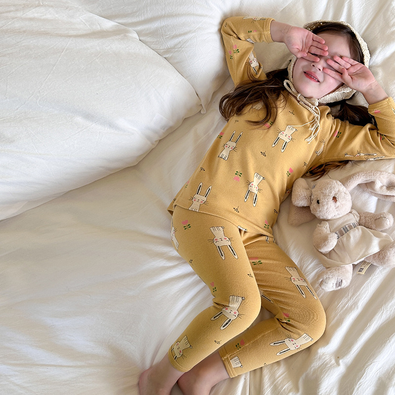 黄色の背景に白いウサギ