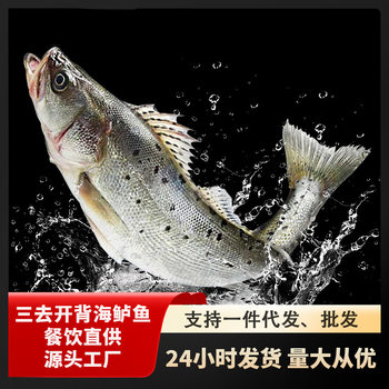 Fresh Frozen Sea Bass with Its Back Opened, Deep-Sea Bass, Seafood, Grilled Fish, Semi-Finished Products for Commercial Use