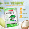 Nanguo coconut powder instant mellow coconut milk powder instant drink pure coconut powder coconut milk Hainan specialty coconut milk baking