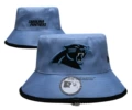 Panthers 1 Panthers