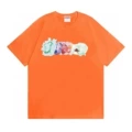 Coral-01-2