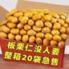 Instant Chestnut Kernel Oil Chestnut Kernel Small Package Pregnant Women Kernel Oil Casual Vacuum Chestnut Kernel Cooked Chestnut without Addition