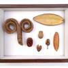 South American and South African Brazilian Fruit Shell, Hot-Beattiba Fruit, Terelong Beta Fruit, Hedgehog Shell, Handmade DIY Photo Frame Teacher's Day
