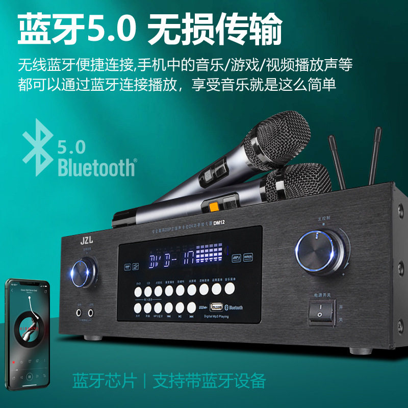 Wholesale 110V220 Voltage Bluetooth Amplifier Ktv Anti-Howling Heavy Bass Home Karaoke Amplifier Taiwan Europe and the United States