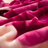 Winter Raschel Blanket Double Thick Warm Thick Blanket Cover Blanket Cover Sofa Blanket Blanket Gift Wholesale