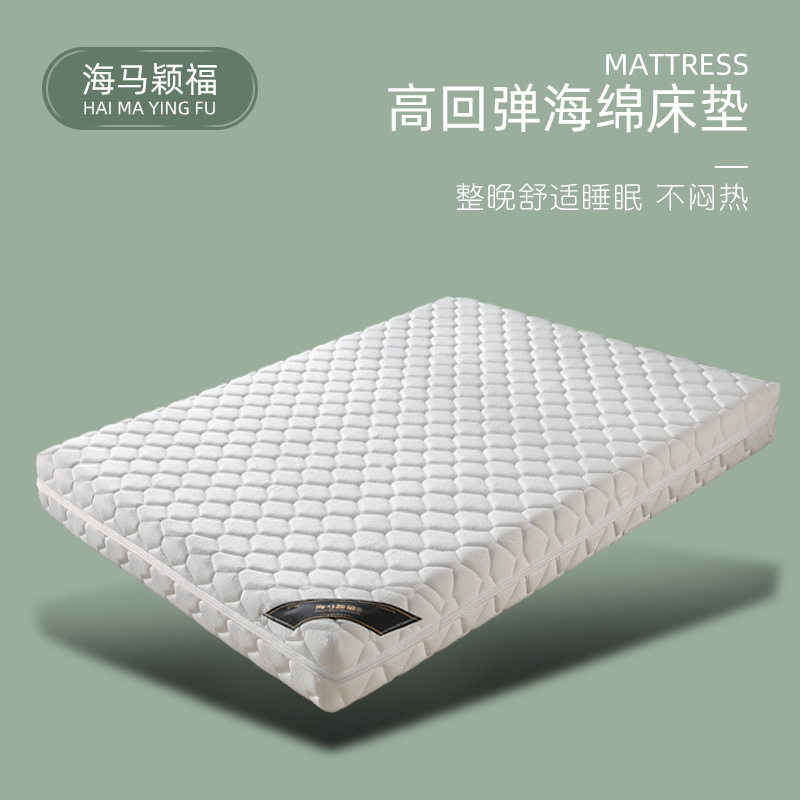 Amazon Cross-border Compression Roll High Rebound Memory Foam Mattress Customized Soft Comfortable Hotel 30cm Mattress
