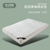 Amazon Cross-border Compression Roll High Rebound Memory Foam Mattress Customized Soft Comfortable Hotel 30cm Mattress