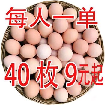 Fresh Mixed Free-Range Eggs, Nutritious Confinement Eggs, Farm-Raised Free-Range Eggs, Whole Grains, and Cordyceps All Year Round