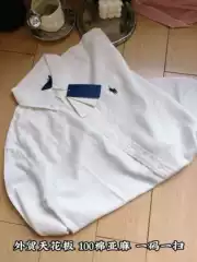 Original Export Pl Classic Pony Embroider Linen Row Long-Sleeved Work Clothing Casual Loose Versatile Shirt for Women