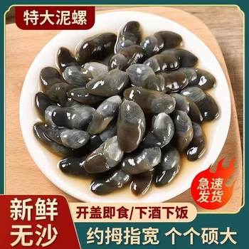 Large Peach Blossom and Large Mud Snails, Crispy and Yellow-Free Mud Snails, Authentic Hand-Marinated Zhoushan Drunken Mud Snails, Ningbo Specialty