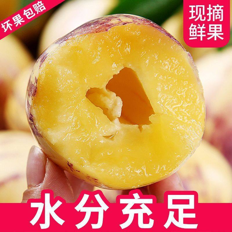 Fresh Seasonal Whole Box Wholesale of Yellow-Fleshed Large Fruits from Minqin, Gansu, Including Ginseng Fruit, with Free Shipping and Low Sugar Content