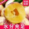 Fresh Seasonal Whole Box Wholesale of Yellow-Fleshed Large Fruits from Minqin, Gansu, Including Ginseng Fruit, with Free Shipping and Low Sugar Content