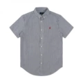 Gray stripes