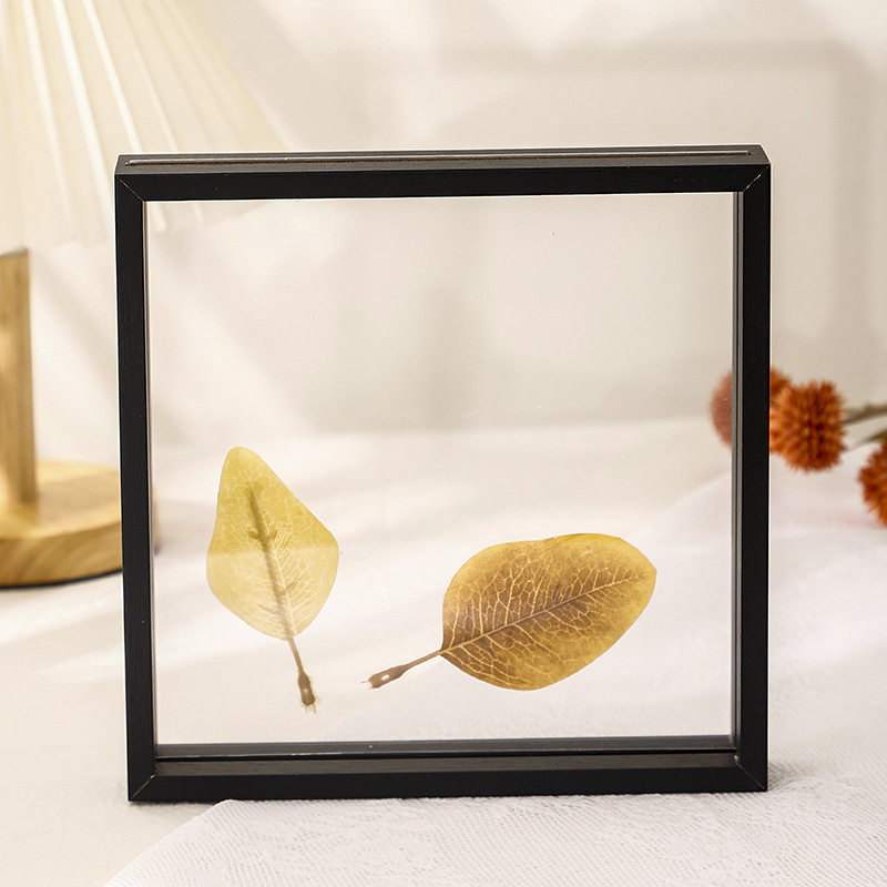 Retro Specimen Double-Sided Acrylic Photo Frame Creative Transparent Double-Sided Glass Table Hanging Wall Display Photo Frame Wholesale