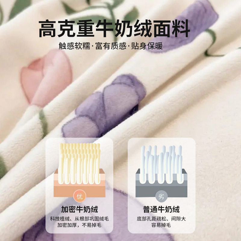 Winter Milk Velvet Four-Piece Set Thickeneded Bed Autumn and Winter Fitted Bed Sheets Fleece-Lined Quilt Cover Coral Velvet Dormitory Bed Bed Sheets Three-Piece Set