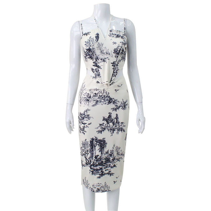 Womens Vintage Floral Print Two Piece Set Halter Neck Top Midi Skirt Stylish Sexy Outfit for Summer Wholesale