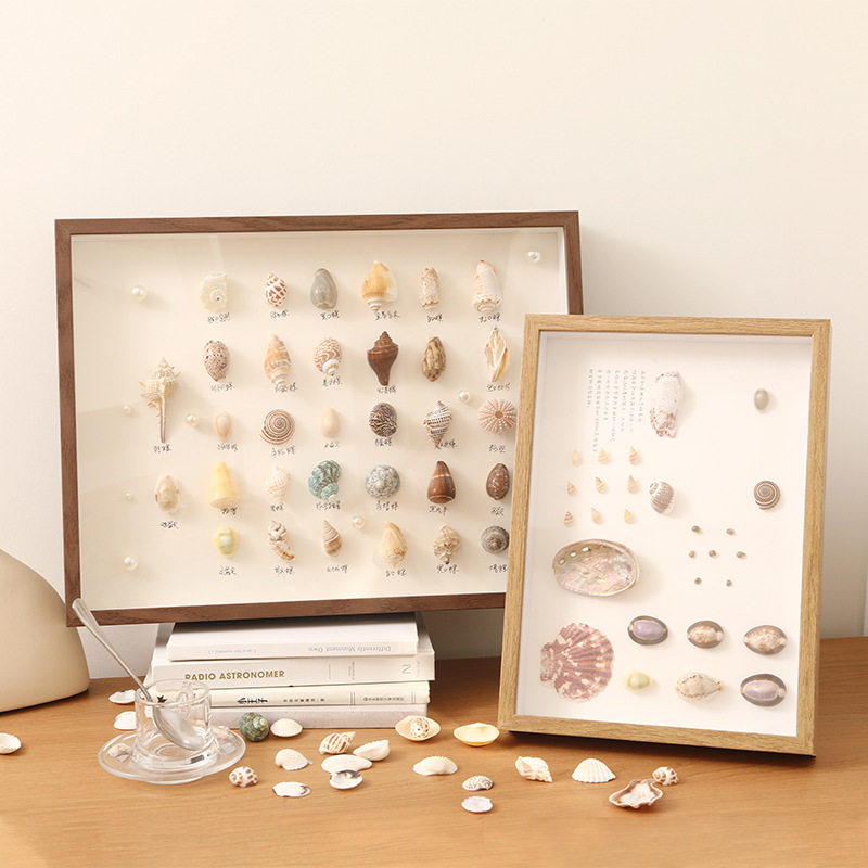 Handmade Stereo Photo Frame Stereo Hollow Specimen Frame Shell Stone Plant Dried Flower Collection Preservation Display Picture Frame