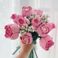 Pink Rose (Bagged)