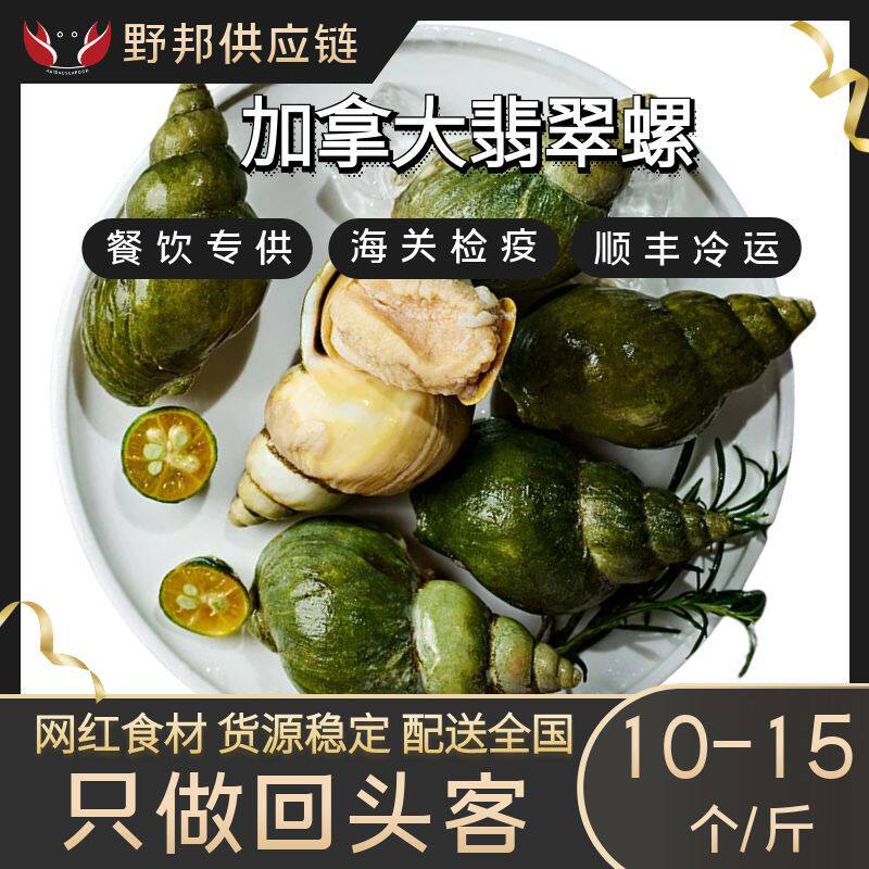 Canadian Jade Snail Conch Seafood Water Produced and Produced Meal Aid Sashimi Hot Pot Bbq Ingredients Wholesale Wild