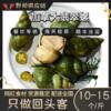 Canadian Jade Snail Conch Seafood Water Produced and Produced Meal Aid Sashimi Hot Pot Bbq Ingredients Wholesale Wild