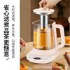 Health Pot Multi-Functional Tea Maker Office Small Glass Kettle Household All-Own Flower Tea Kettle Hot Pot