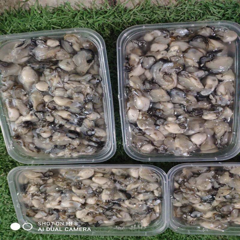 Freshly Caught and Peeled Oysters from Fujian, No Soaking, Small Sea Oyster Meat, Fresh Oyster Pancakes