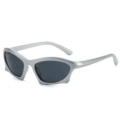 Regular (including 13% special ticket) silver frame gray film