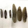 [Selected Indonesian Small Sea Cucumber] Directly Sold from the Source of Indonesian Small Sea Cucumber Indonesian Black Sea Cucumber Light Dried Sea Cucumber Dry Goods
