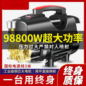 Water Pump Black Cat Car Washer High Pressure Water Gun 220V Household Cleaning Machine High Power Brush Car Portable