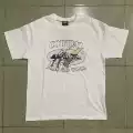 31#lion white