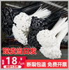High quality and low price nylon cable tie sold by kg new material white black strong binding plastic cable binding belt