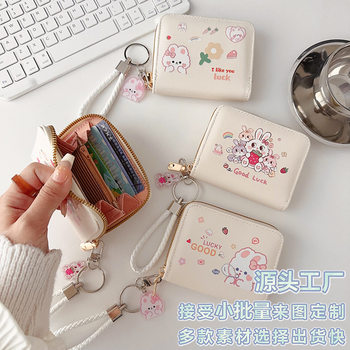 Coin Purse Cute Ins Style Card Bag with Large Capacity Pendant Student Mini Women's High Appearance and Clear Luxury
