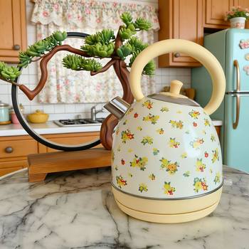 Exported to the Uk Wilko Painted Electric Water Kettle Electric Tea Boiling Water Kettle 304 Stainless Steel Household Electric Heating