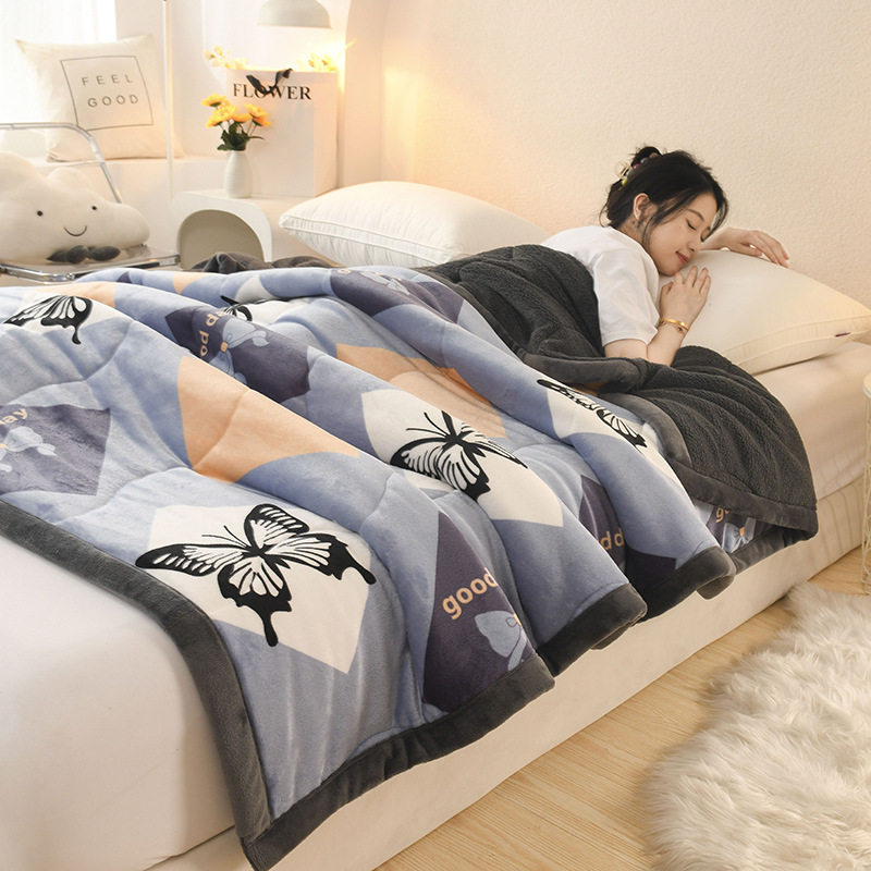 New Thickeneded Warm Milk Velvet Blanket Ab Style Small Fresh High Weight Beibei Velvet Blanket Lamb Velvet Blanket