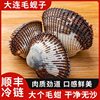 Dalian Seafood, Fresh Water Products, Wild Clams, Hairy Clams, Live Abalone, Edible Agricultural Products, Frozen Aquatic Products