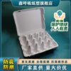 Factory supply 20 pieces pulp egg tray disposable degradable egg box egg tray pulp molding