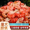 Factory Direct Sales Crayfish Kernels with Yellow Fresh Frozen Semi-Finished Large Lobster Kernels Rice Topping Third-Grade Lobster Kernels