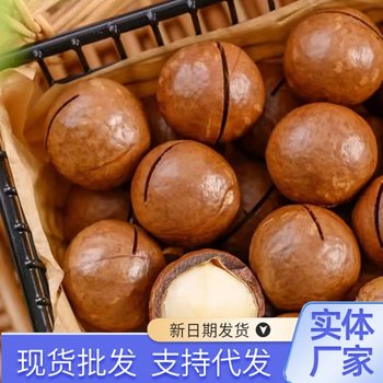 Macadamia Nuts, Large Nuts, Snacks, Roasted Seeds and Nuts, Crispy, Milky Macadamia Nuts