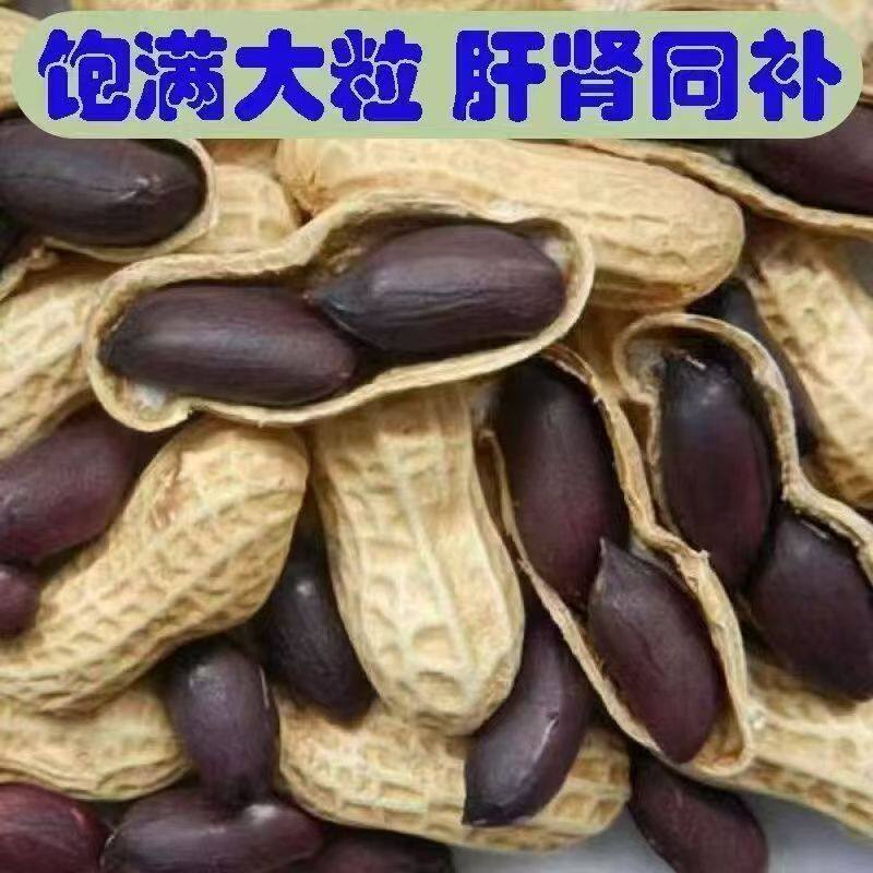 Authentic Selenium-Rich Black Peanuts from Yunnan, Shelled Purple Peanuts, Black Peanuts, Raw Peanuts 500g Wholesale