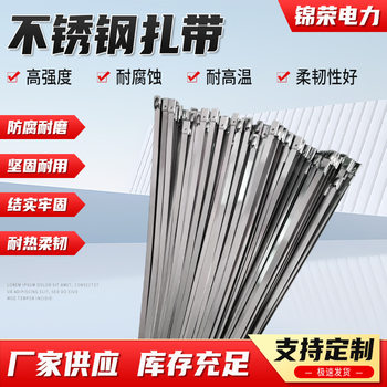 304 Cable Ties, High Temperature Resistant, Anti-Corrosion, Self-Locking Metal Cable Ties, Adjustable Buckle Fastening, Stainless Steel Cable Ties