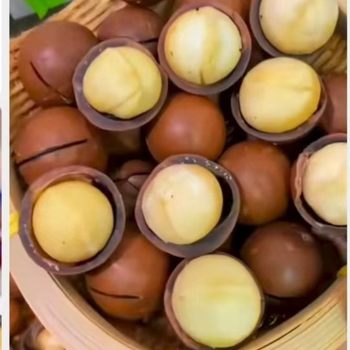 Macadamia Nuts with Creamy Flavor, Thin Skin, Large Kernels, Bagged or Loose, Summer Nuts with Open Macadamia Nuts