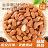 Northeast Pine Nuts 2025 New Arrival 500g Hand-Peeled Pine Nuts Casual Snacks Nuts Extra Large Original Open Pine Nuts