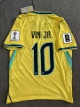 Brazil - home no. 10 - vinicius