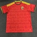 Belgium's home ground