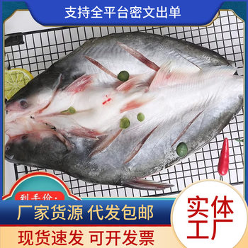 Whole skinned open-backed Basha fish Mekong fish fresh frozen Longli fish grilled fish whole box 9/10 10.00kg Pack