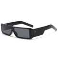 Regular (including 13% special ticket) black frame black and gray film