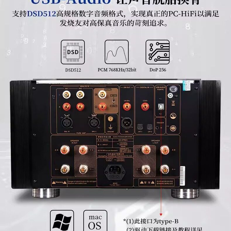 Winner/Tianyi Ad-2Pro+ Fully Balanced Pure Class a Fever Hifi High Power Dsd Decoding Amplifier