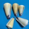 Purple conus natural shell conch fish tank aquarium landscape platform decoration specimen photography handicraft production